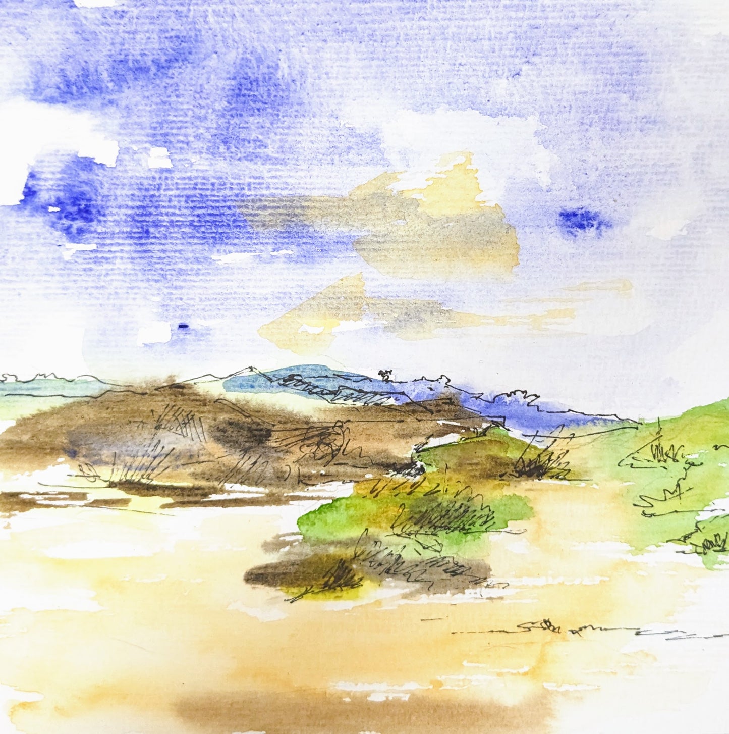Porthkidney Beach from Lula, Study