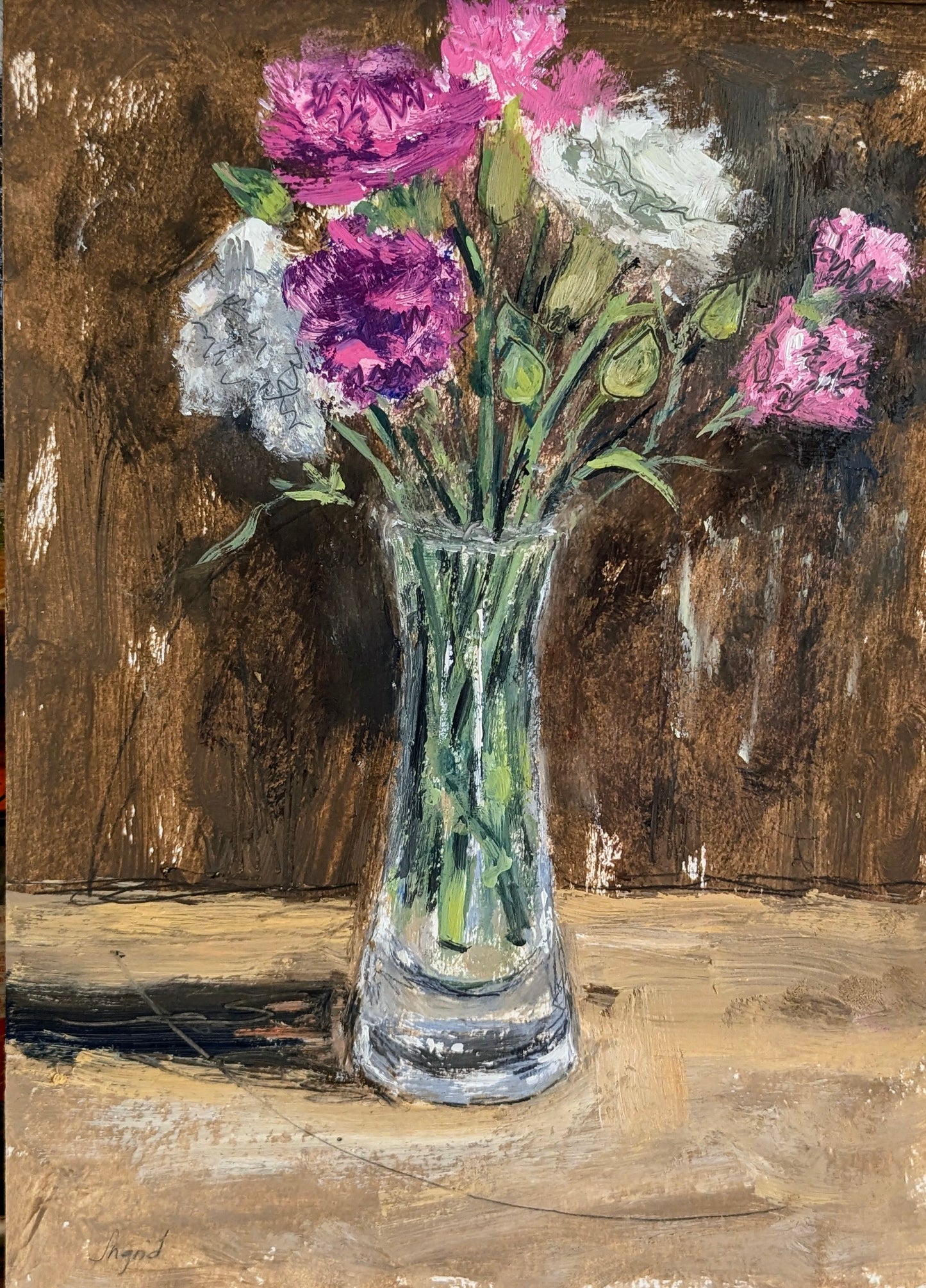 Spring Carnations, Tremenheere Gardens