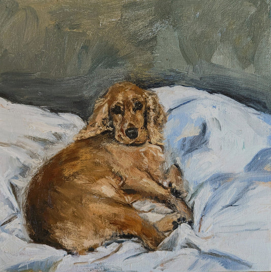 Portrait of a Spaniel [Art for Youth London, Mall Galleries, 5-8 November 2024]