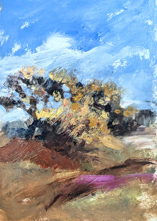 May Gorse, Cornwall