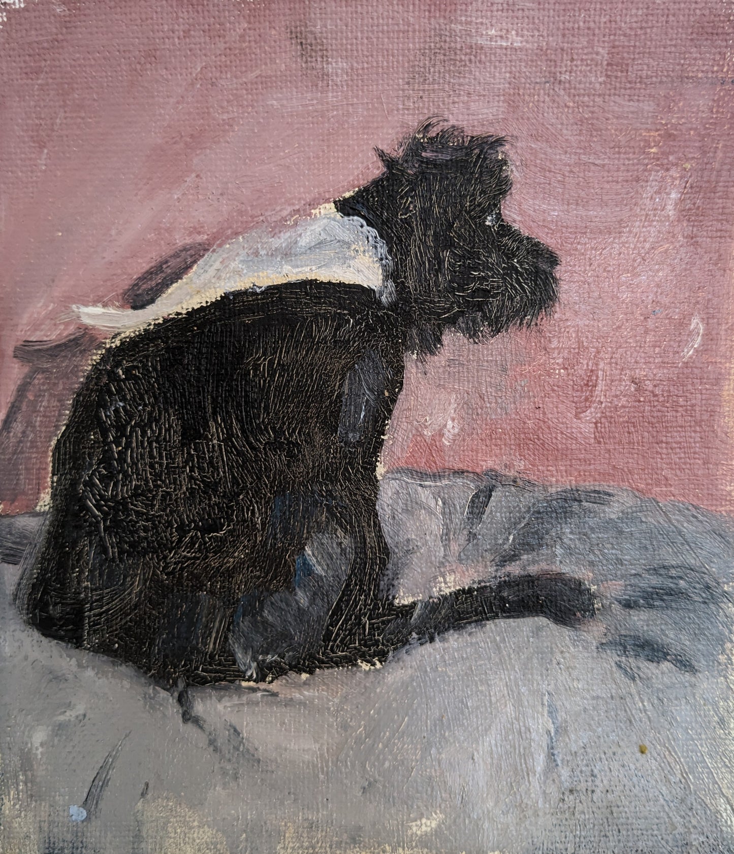 Black Dog with Bandanna