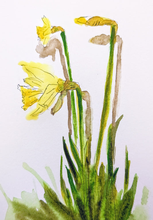 Daffodils (Framed)