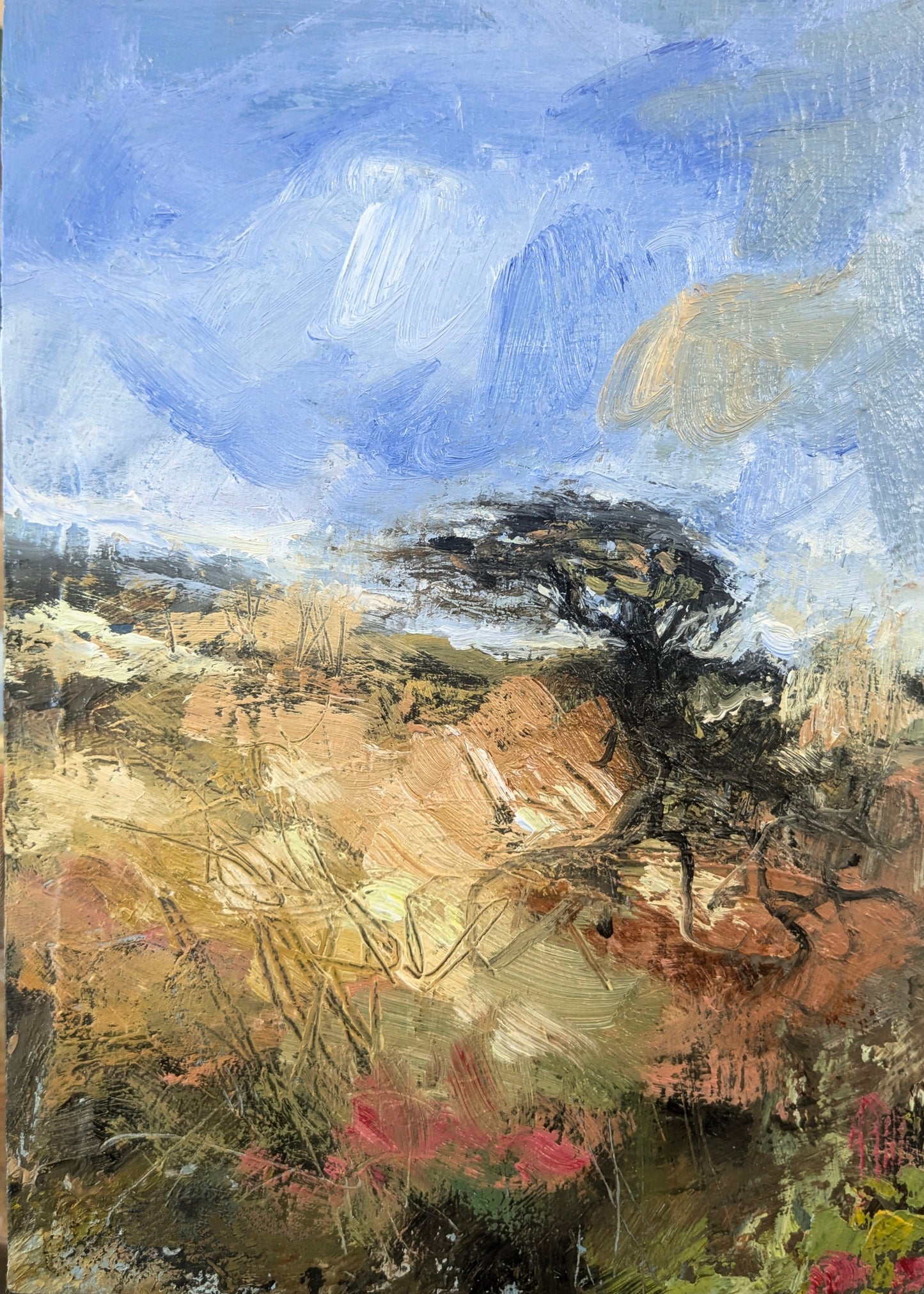 Summer Coastal Hillside, Zennor