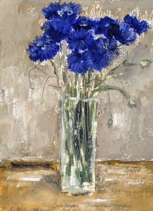 Tremenheere Cornflowers