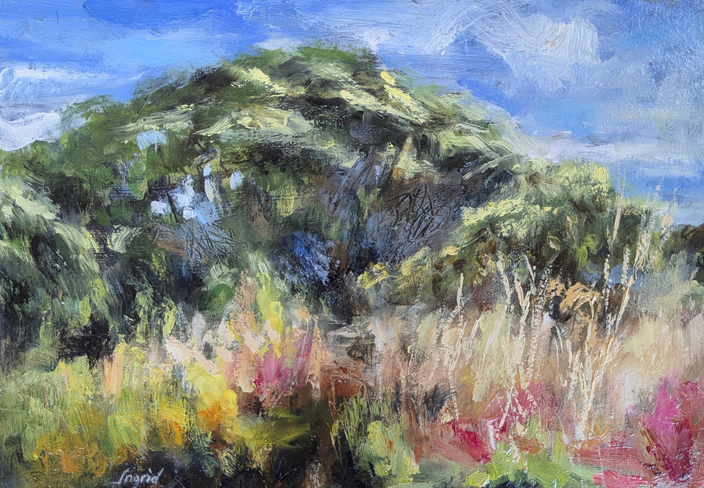Summer Meadow, Zennor